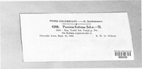 Image Associated With the Occurence